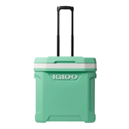 PLAYA - Conservadora Verde - MINT60QT